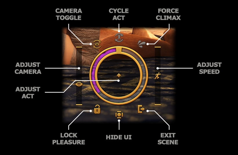 DSS Controls