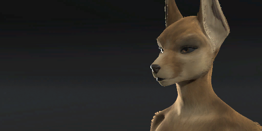 Fennec Jackal